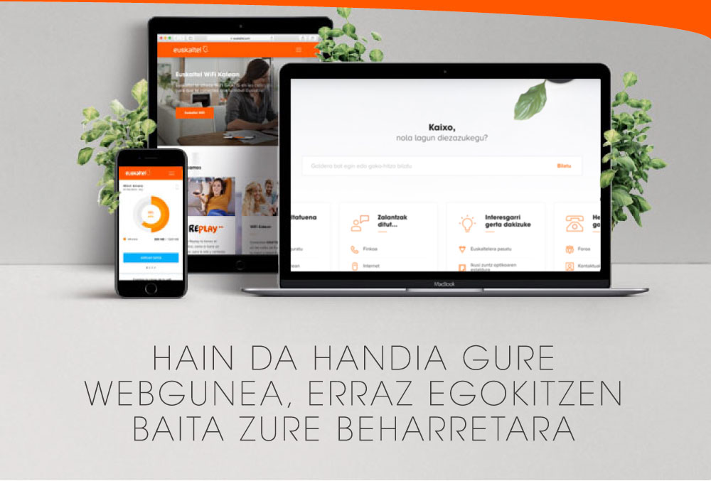 HAIN DA HANDIA GURE WEBGUNEA, ERRAZ EGOKITZEN BAITA ZURE BEHARRETARA