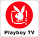 Playboy TV